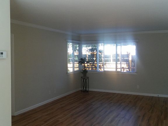 Large living room with park views