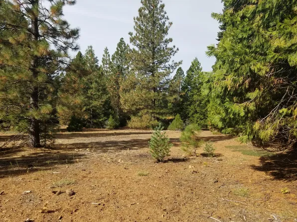 LOT 57 Nehemiah Dr, Shingletown, CA 96088