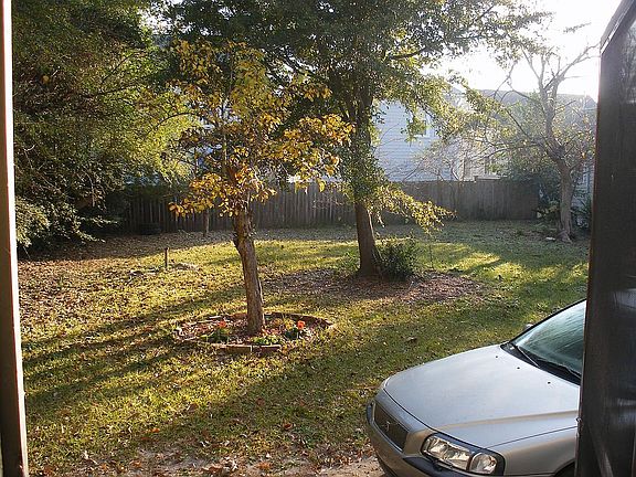 large downtown back yard