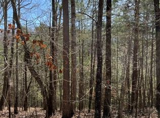 4 Hunter Rdg, Ellijay, GA 30540