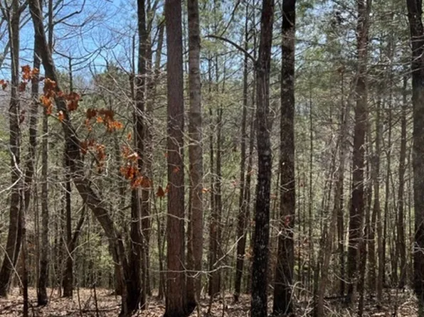 4 Hunter Rdg, Ellijay, GA 30540