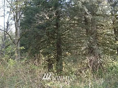 0 XXXX Schornbush Road photo 1