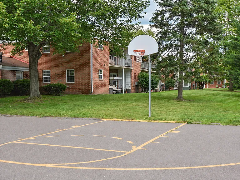 Half-Court Basketball