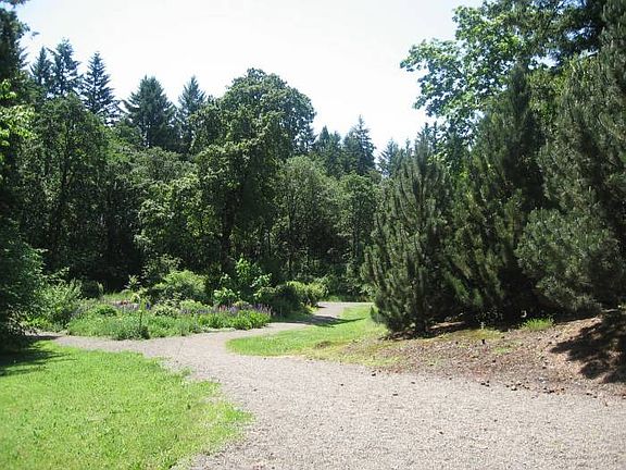 Walking Path
