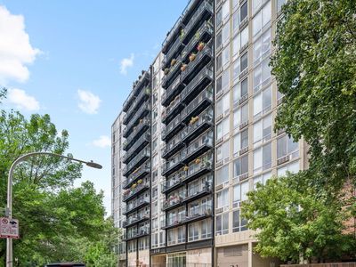 450 W Briar Pl APT 3J, Chicago, IL, 60657