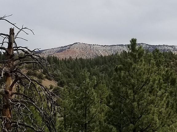 4th image of Bryce Cyn