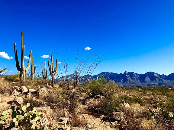 4th image of 1813 Tortolita Mountain Cir #499