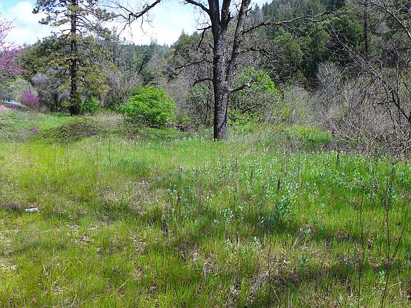3rd image of 64.6 Acres Hwy #299E