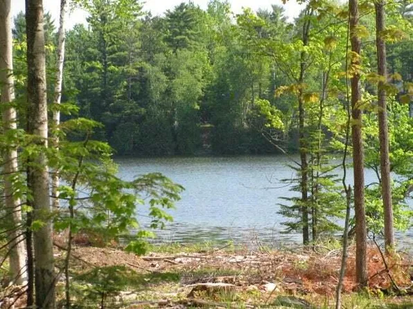 9 Lake Bluff Dr, Alpena, MI 49707