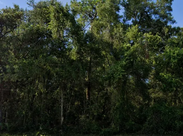 440 E Rhode Island Ave, Orange City, FL 32763