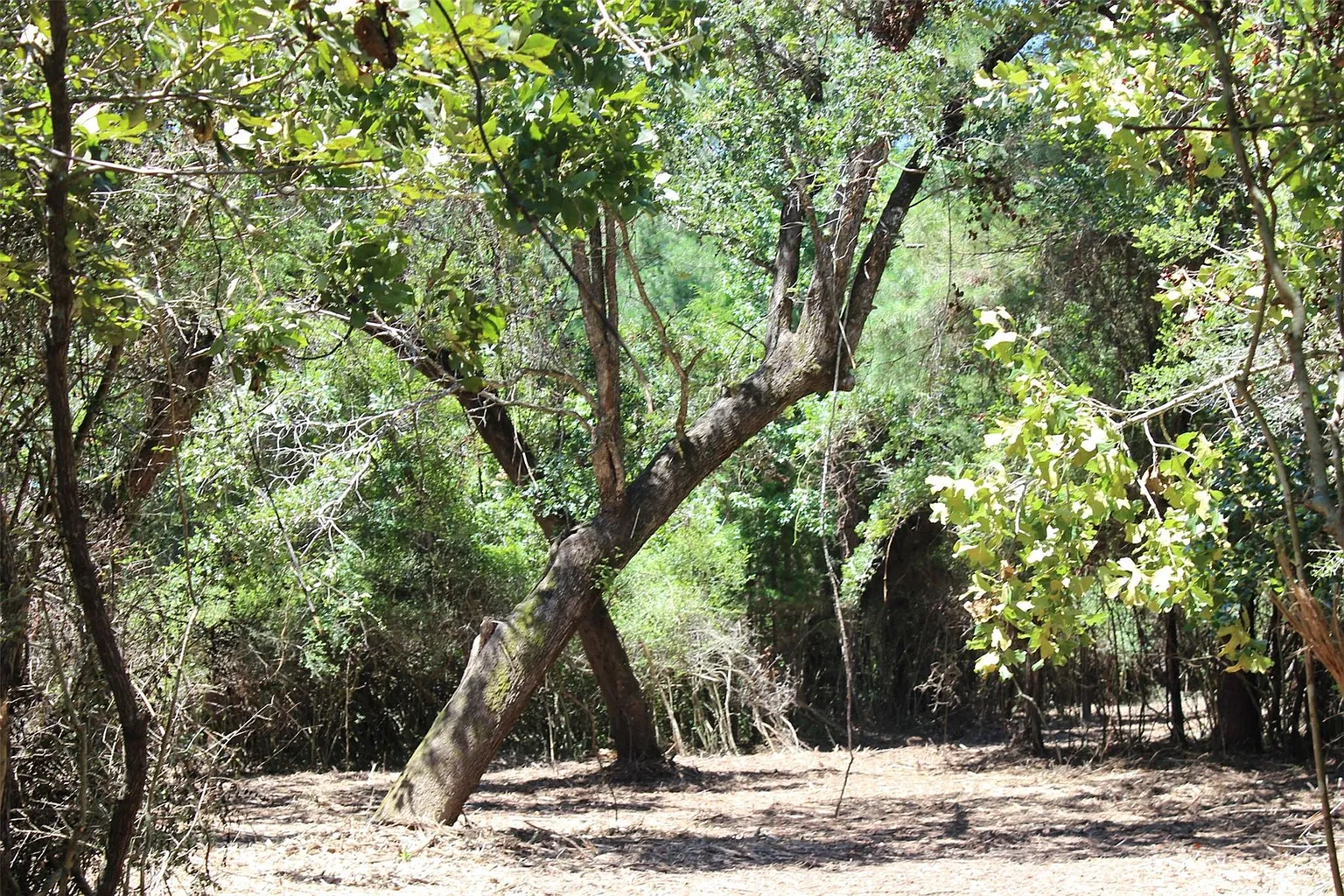 9417 County Road 114 photo 1