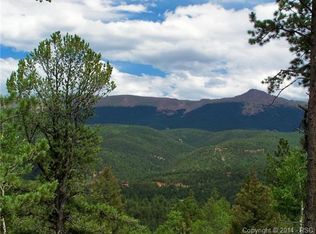 688 Woodrock Way, Divide, CO 80814