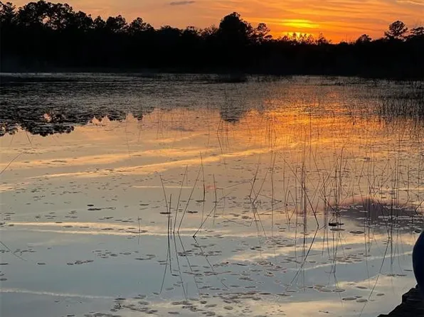 14730 SE 61st Street Rd, Ocklawaha, FL 32179