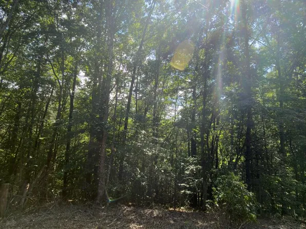 LOT 5 Corbin Rd, Franklin, NC 28734
