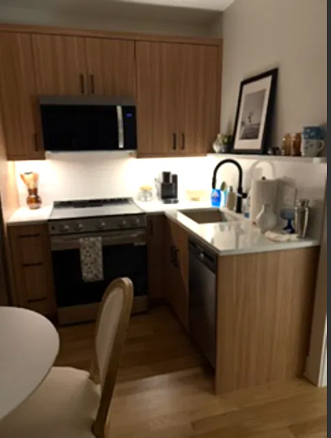 1 bed, 450 sqft, $2,235 — Photo 3