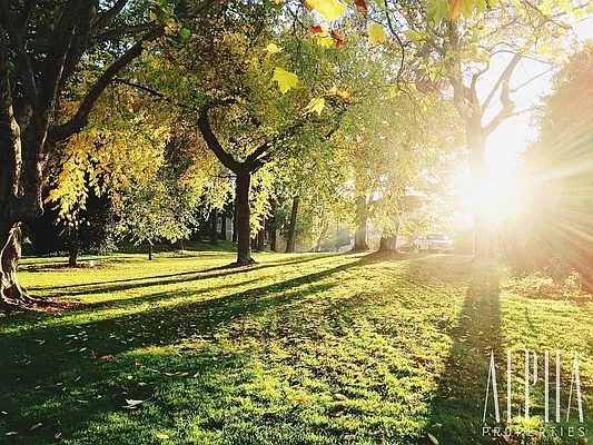 Rented by Alpha Properties NYC I LLC | media 33