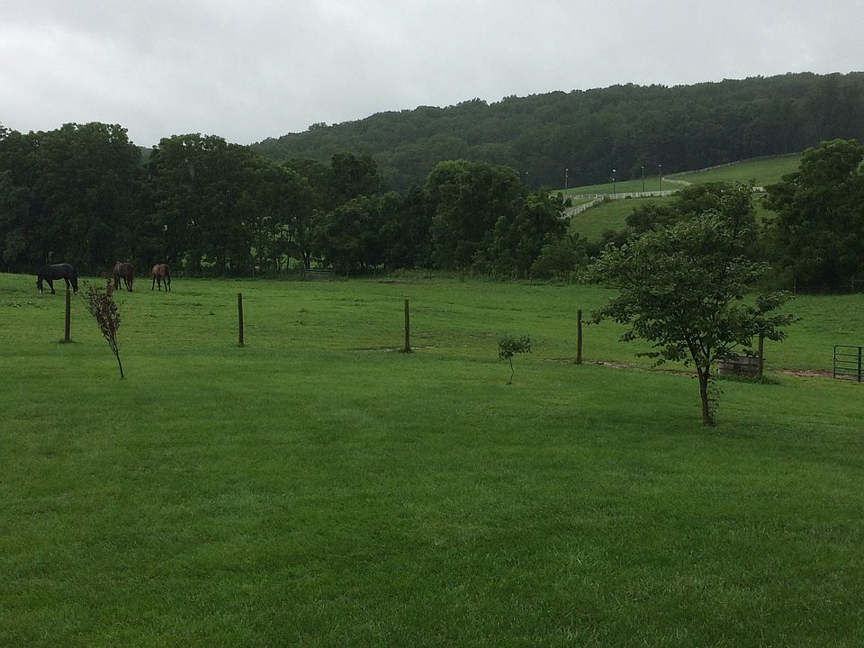 Views from house-west