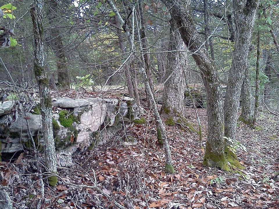 south border bluff line