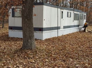 22 N Irons Rd, Irons, MI 49644