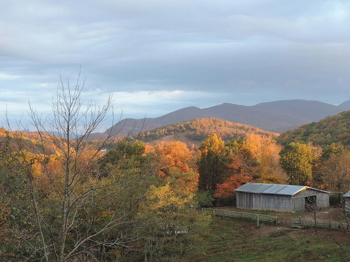 View of barns from the Guesthouse - 235 Almost Heaven