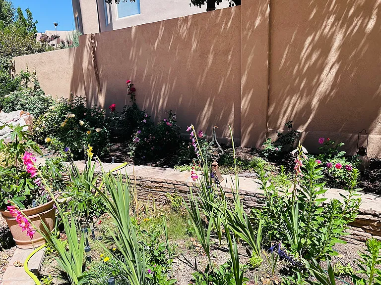 12607 Desert Marigold Ln NE — Photo 22