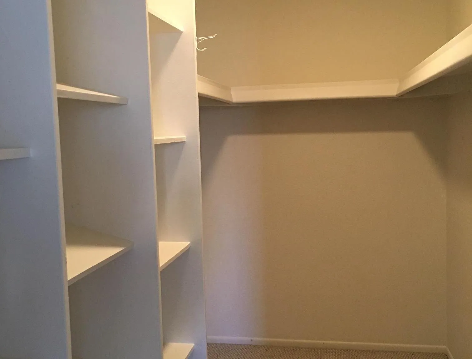 2 bed, 1450 sqft, $1,995 — Photo 2
