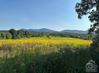 241 Stonitch Rd E, East Durham, NY 12423