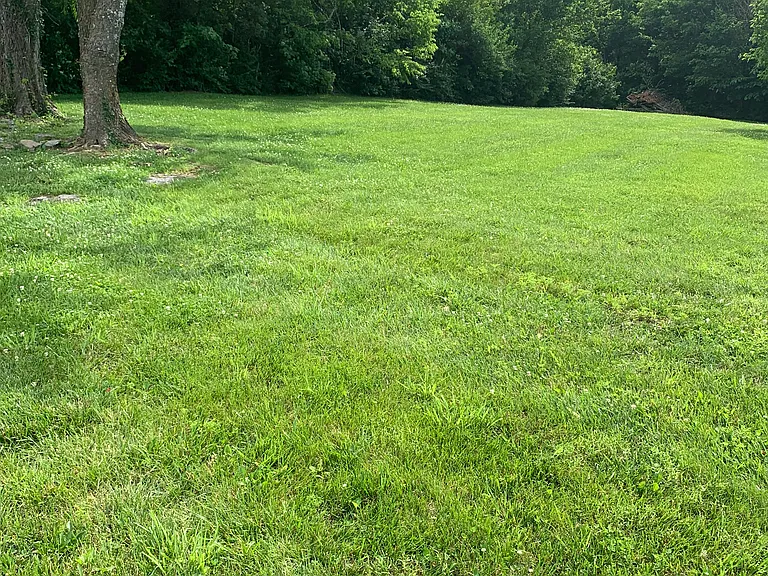 4350 Louisville Rd — Photo 2