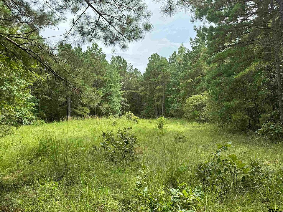 2nd image of TRACT 2 County Road 2217