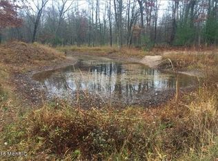 5203 E Two Mile Rd, White Cloud, MI 49349