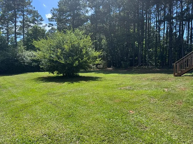 2301 Douglas School Rd — Photo 17
