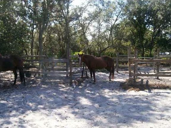 5th image of 30041 County Road 437