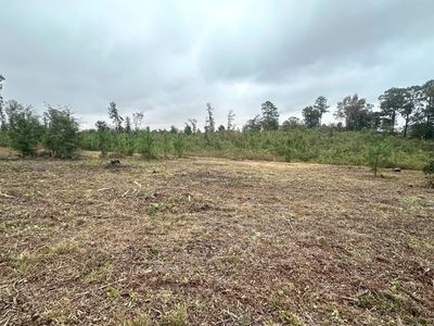 0 County Road 20 W, Marbury, AL, 36051