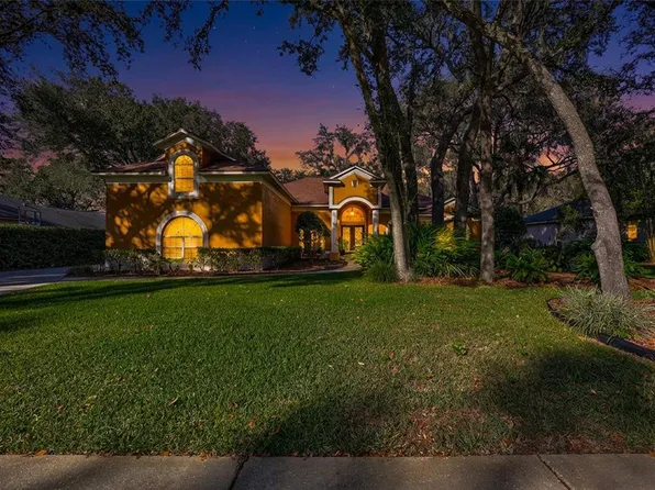 6022 Hammock Hill Ave, Lithia, FL 33547