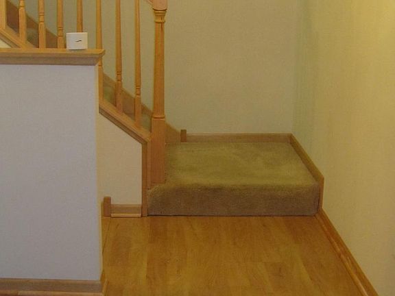 Entry way with wood flooring