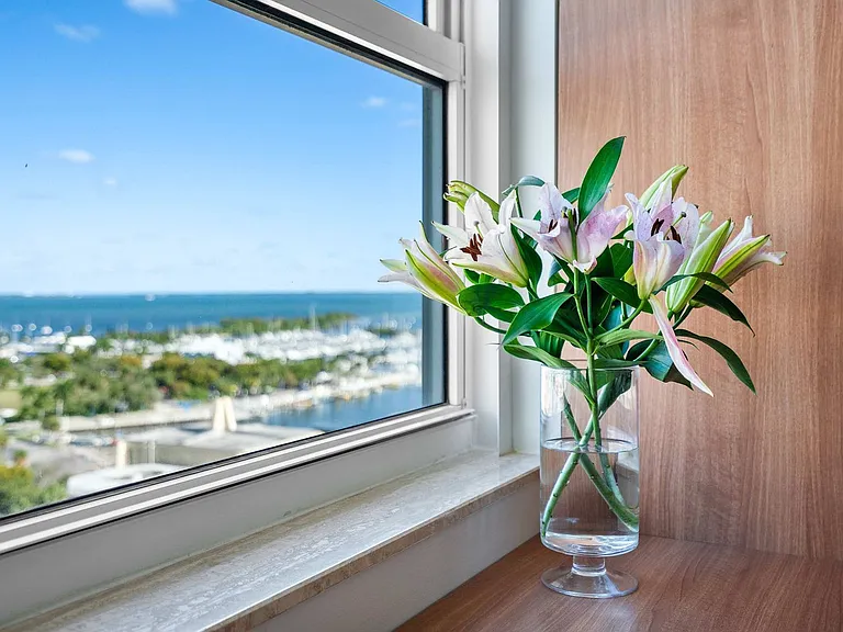 Window View