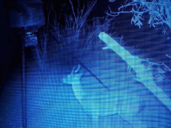 3rd image of #12 Laguna Pasture