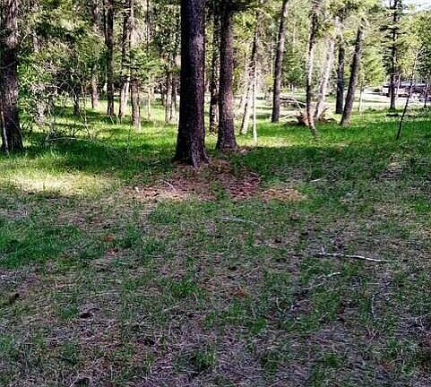 3rd image of 405 Shady Ln