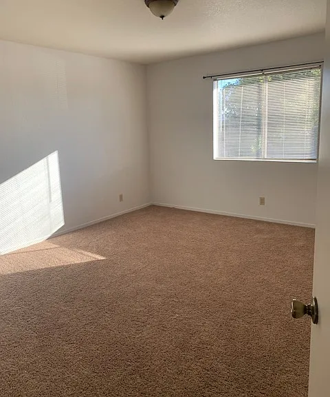 1509 Atlantic City Ave #B — Photo 4