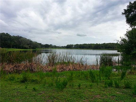 5th image of 12210 Garden Lake Cir