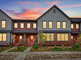 1317 Silver Vault Street, Leadville, CO 80461