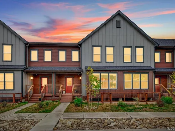 1317 Silver Vault Street, Leadville, CO 80461