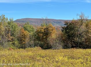 908 Black River Rd, Stephentown, NY 12168