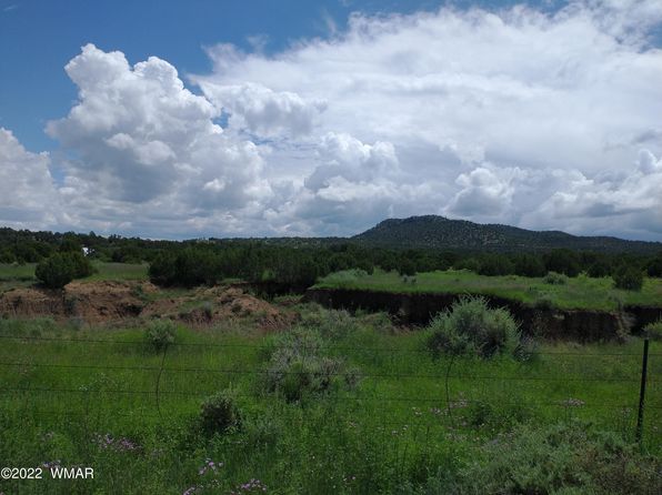 62 County Road 3033, Concho, AZ 85924