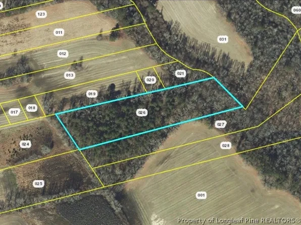 Walter Gibson Rd, Raeford, NC 28376