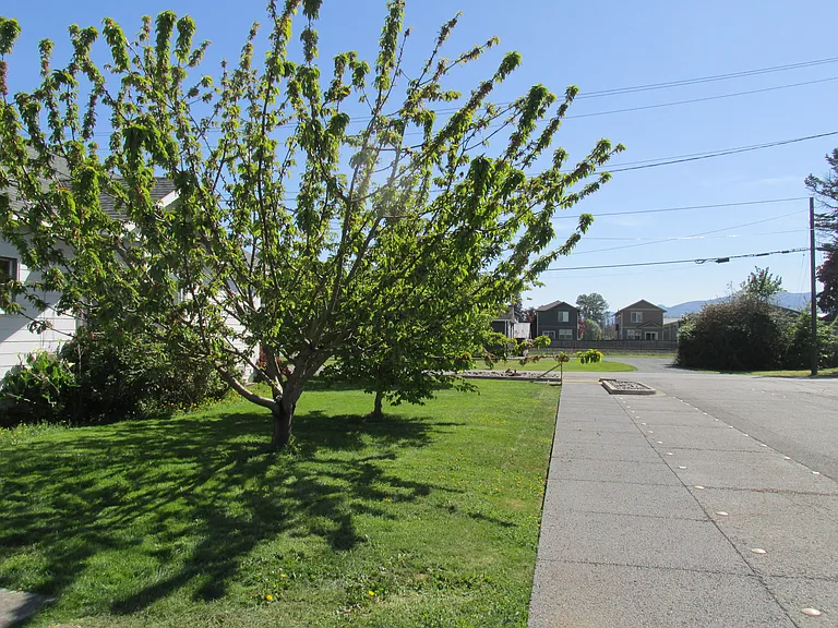 345 E Hazel Ave — Photo 11