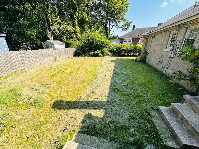 Back Yard