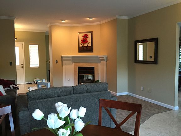 Living Area- fireplace