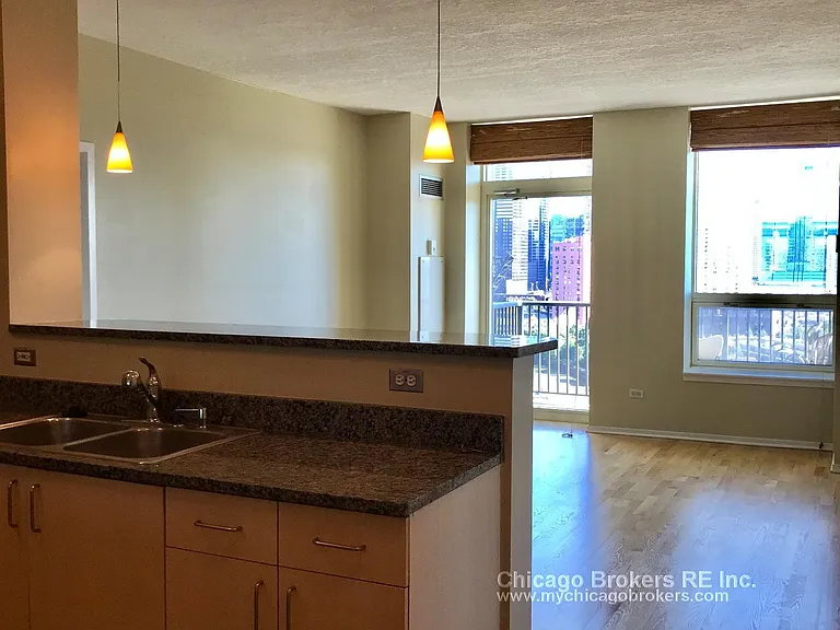 600 N Kingsbury St #1512 — Photo 9