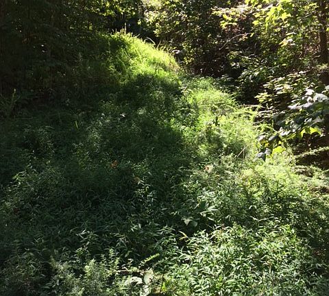5th image of Jackson Hills Dr